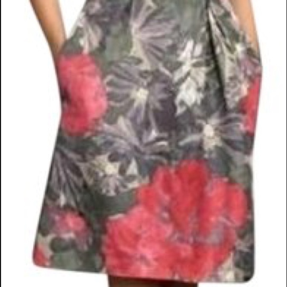 ✴️ New ~ Banana Republic Mad Men Begonia Cocktail Dress Size 2 - Picture 4 of 16